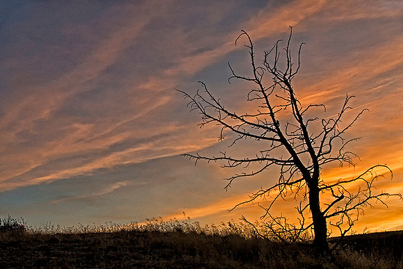 Painted Hills