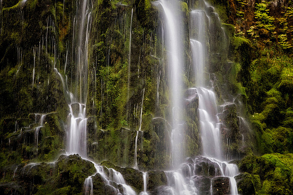 Oregon Photo