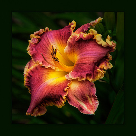 Nature Charm