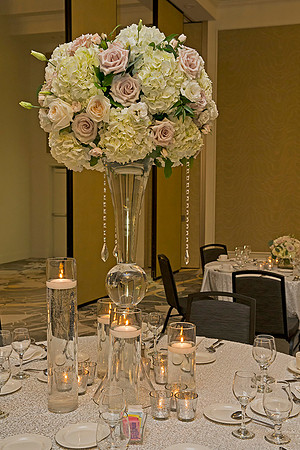 Wedding Reception
