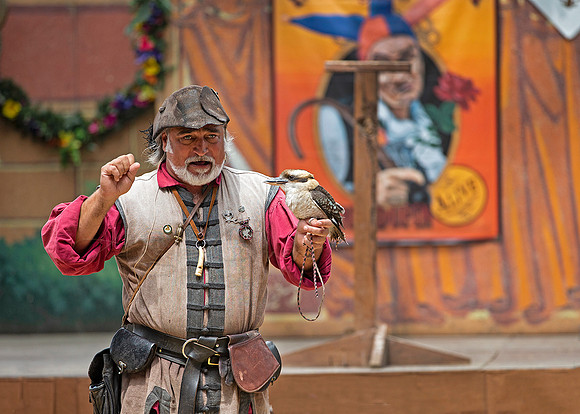 2019 The Renaissance Pleasure Faire