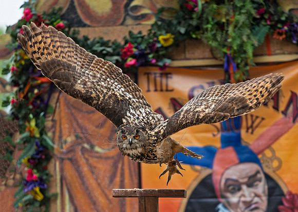 2019 The Renaissance Pleasure Faire