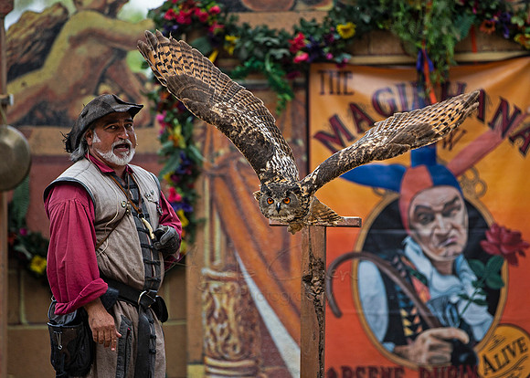 2019 The Renaissance Pleasure Faire