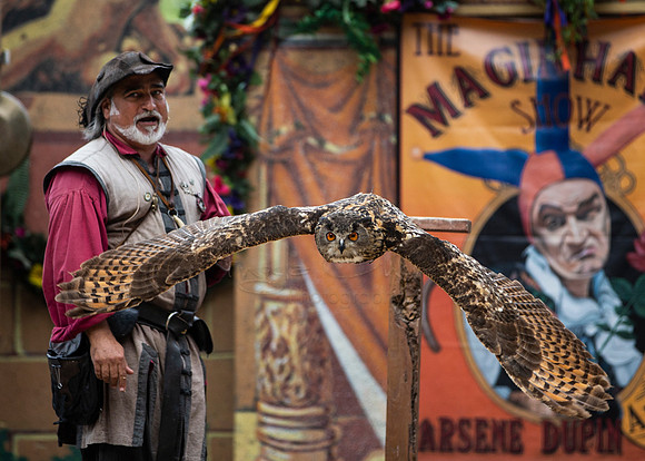 2019 The Renaissance Pleasure Faire