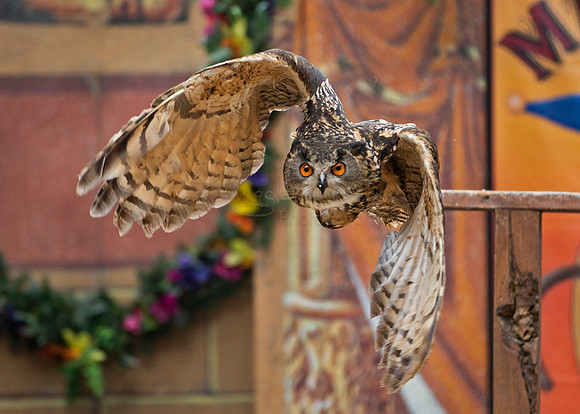 2019 The Renaissance Pleasure Faire