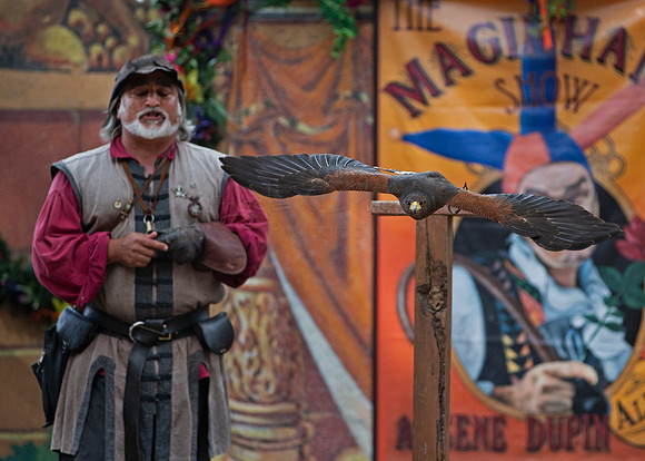 2019 The Renaissance Pleasure Faire