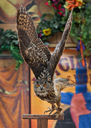 2019 The Renaissance Pleasure Faire