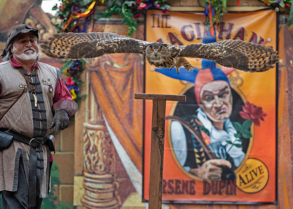 2019 The Renaissance Pleasure Faire