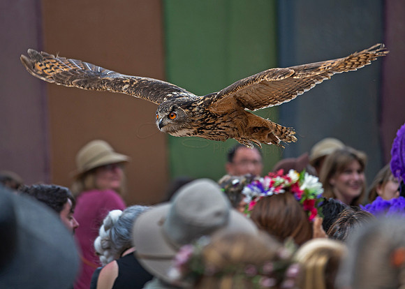 2019 The Renaissance Pleasure Faire