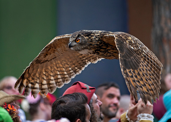 2019 The Renaissance Pleasure Faire