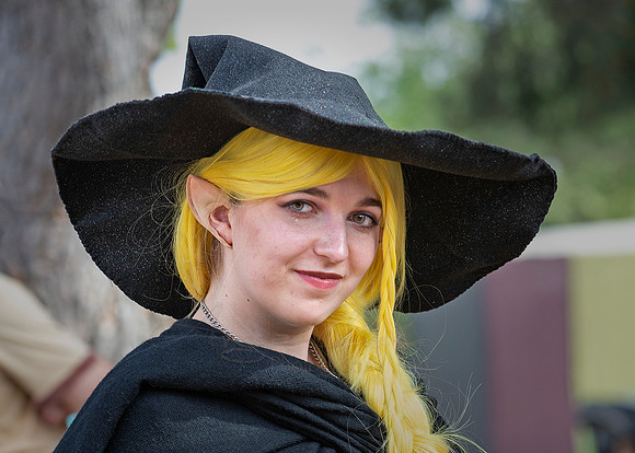 2019 The Renaissance Pleasure Faire