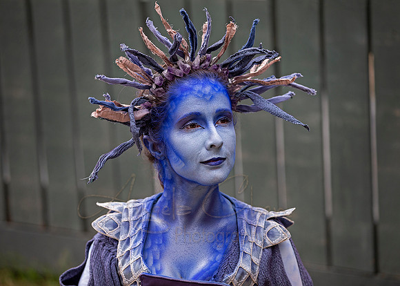 2019 The Renaissance Pleasure Faire