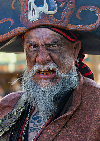 The Renaissance Pleasure Faire
